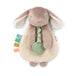 Itzy Ritzy Itzy Friends Lovey Plush With Silicone Teether Toy