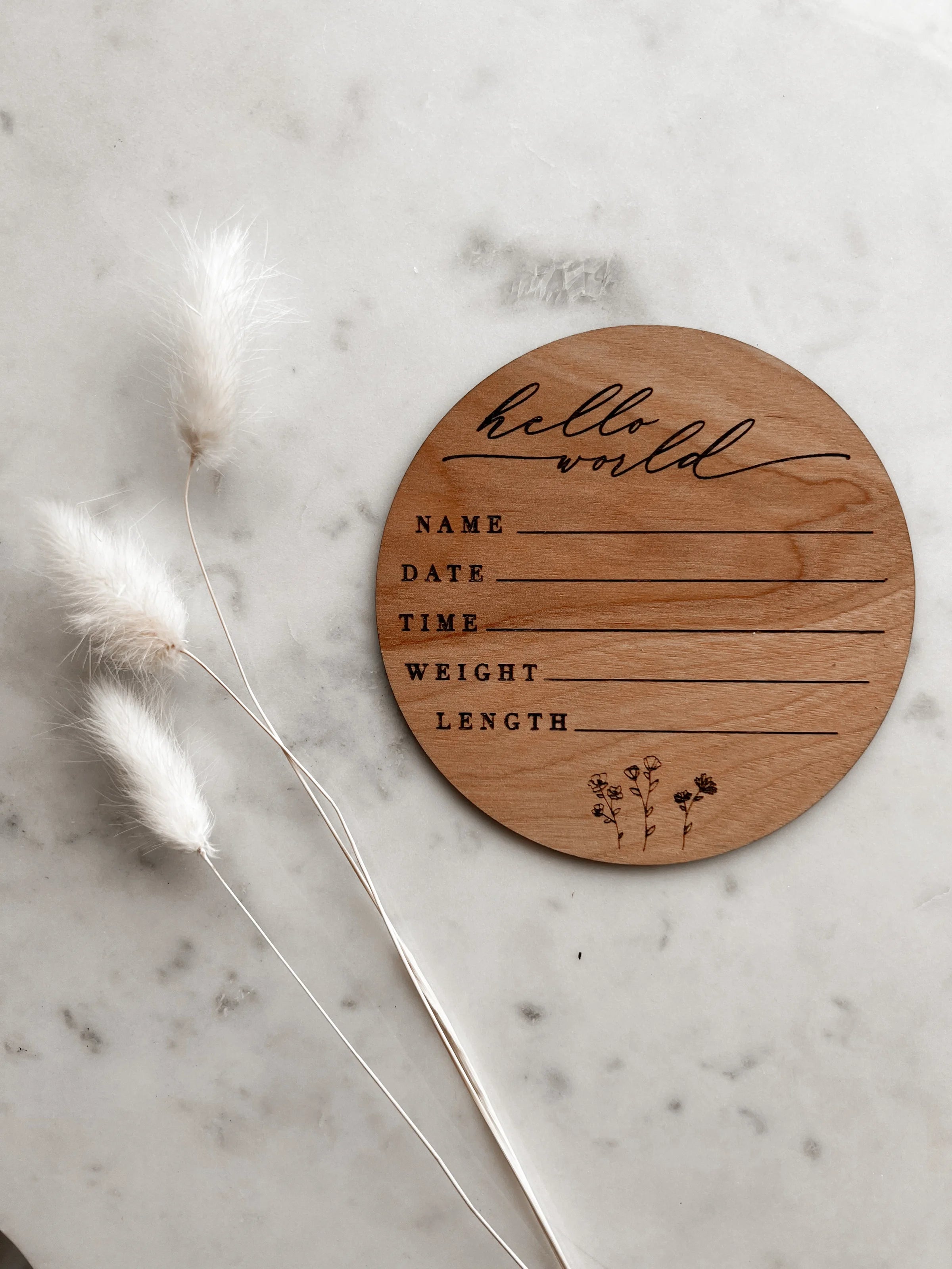 Wild Daisy Hello World Birth Announcement Discs