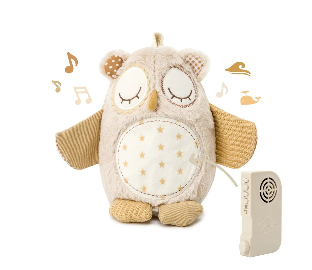 Cloud B Nighty Night Owl Smart Sensor - Baby Laurel & Co.
